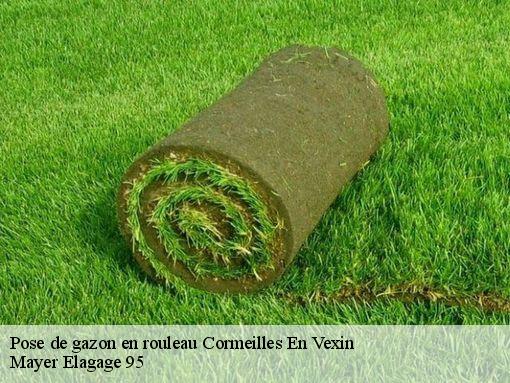 Pose de gazon en rouleau cormeilles-en-vexin-95830 Mayer Elagage 95