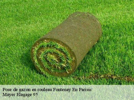 Pose de gazon en rouleau  fontenay-en-parisis-95190 Mayer Elagage 95