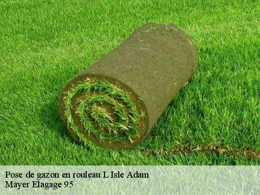 Pose de gazon en rouleau l-isle-adam-95290 Mayer Elagage 95