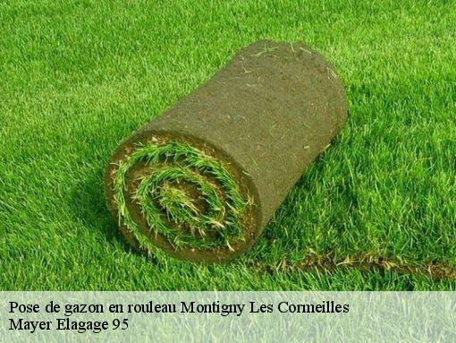 Pose de gazon en rouleau montigny-les-cormeilles-95370 Mayer Elagage 95