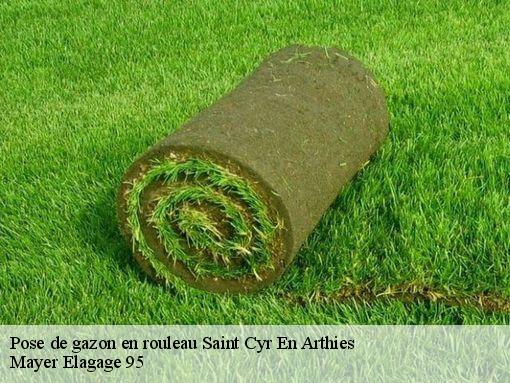 Pose de gazon en rouleau  saint-cyr-en-arthies-95510 Mayer Elagage 95