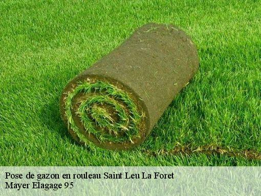 Pose de gazon en rouleau  saint-leu-la-foret-95320 Mayer Elagage 95