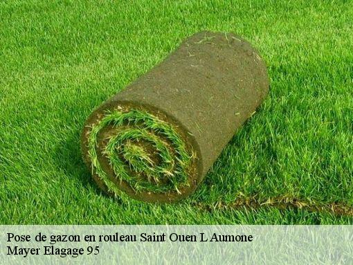 Pose de gazon en rouleau  saint-ouen-l-aumone-95310 Mayer Elagage 95