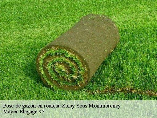 Pose de gazon en rouleau  soisy-sous-montmorency-95230 Mayer Elagage 95