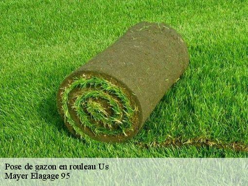 Pose de gazon en rouleau us-95450 Mayer Elagage 95