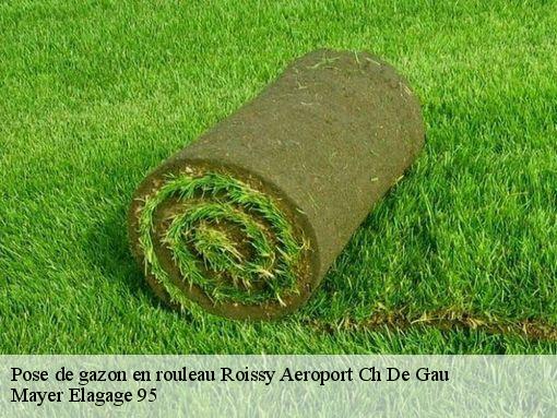 Pose de gazon en rouleau roissy-aeroport-ch-de-gau-95700 Mayer Elagage 95